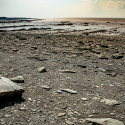 Bay of Fundy